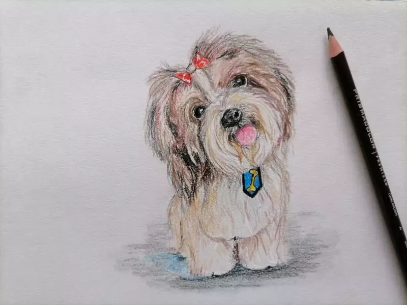 DRAWING & SKETCHING CLASS FOR KIDS