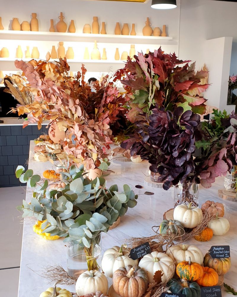 Fringed Macramé Wreath Workshop